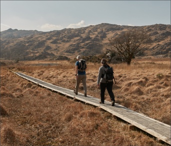 Old Kenmare Road