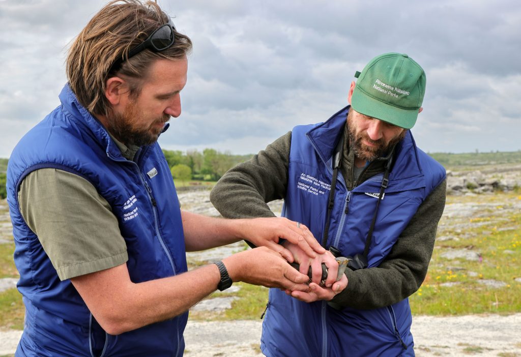 Two Rangers holding bird