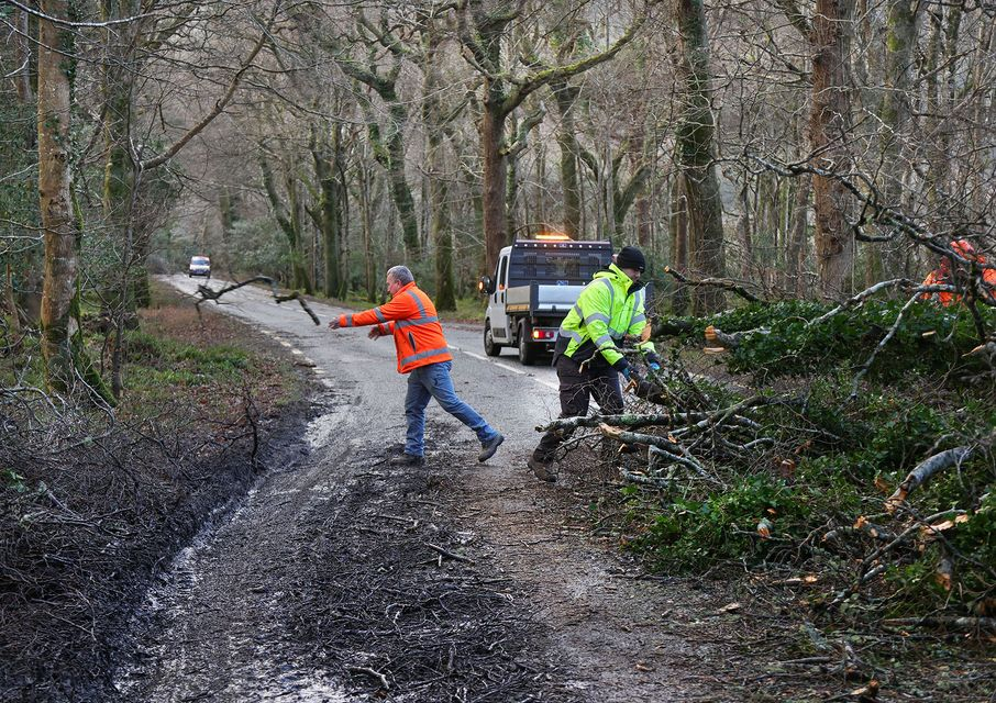 Staff clearing fallen trees